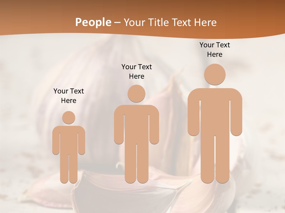 Onion Family Old Food PowerPoint Template