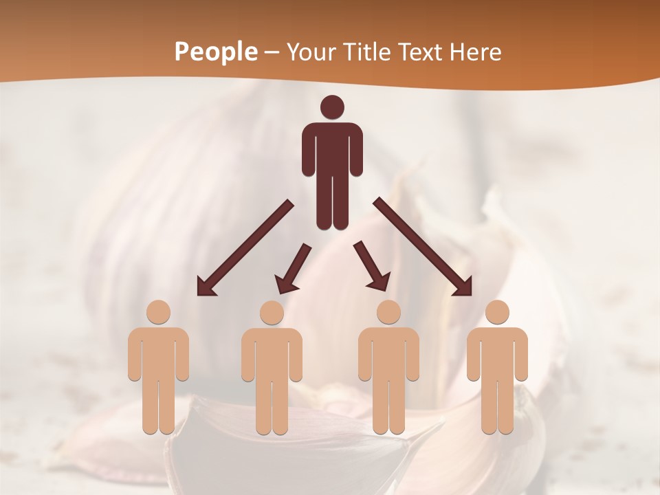 Onion Family Old Food PowerPoint Template