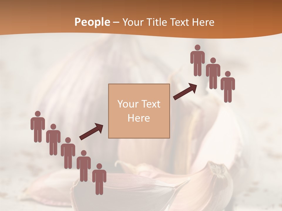 Onion Family Old Food PowerPoint Template