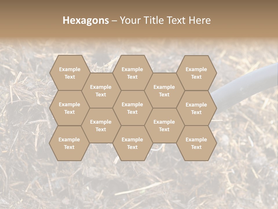 Rural Fertilise Garden PowerPoint Template