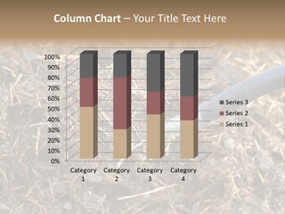 Rural Fertilise Garden PowerPoint Template