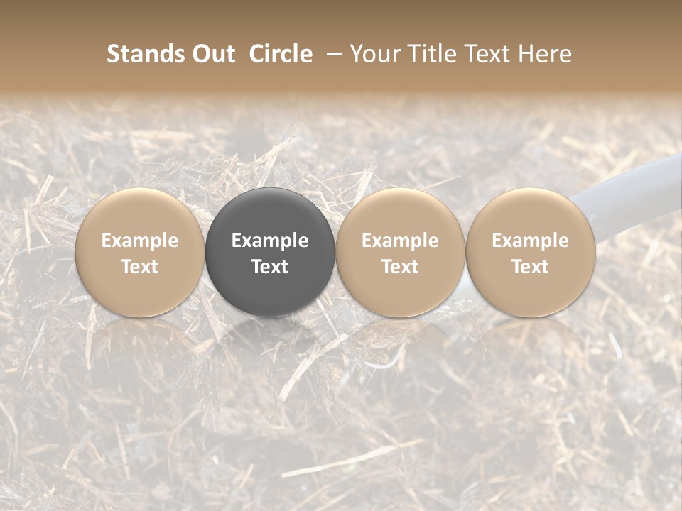 Rural Fertilise Garden PowerPoint Template