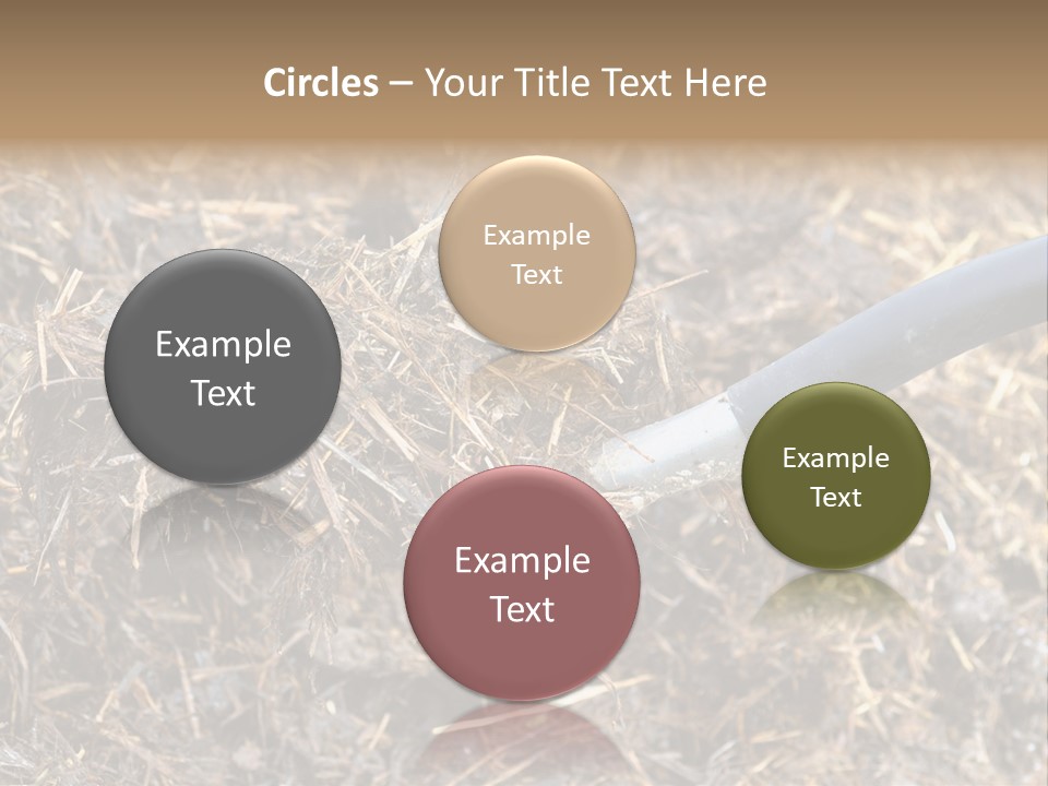 Rural Fertilise Garden PowerPoint Template