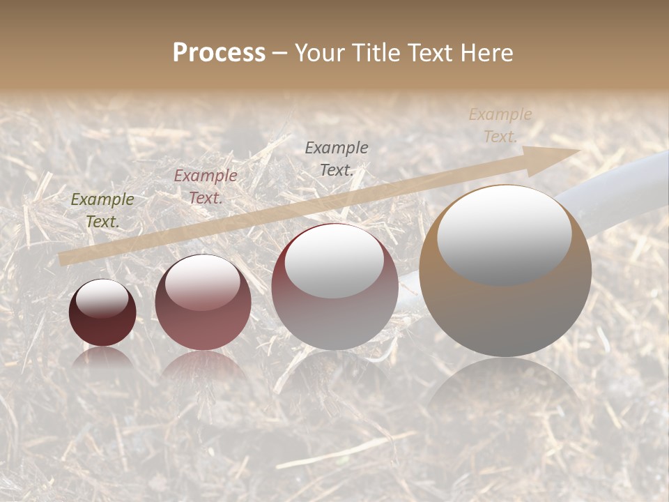 Rural Fertilise Garden PowerPoint Template