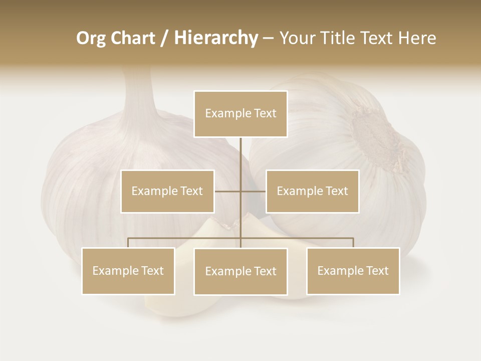 Nutrition Organic Leaf PowerPoint Template