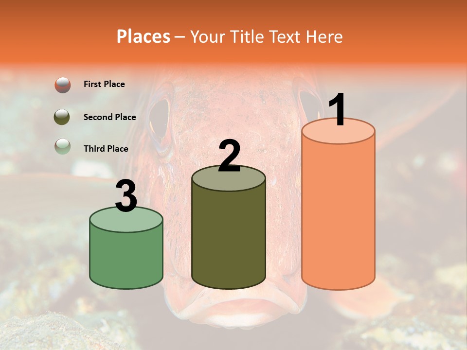 Nature Island Undersea PowerPoint Template