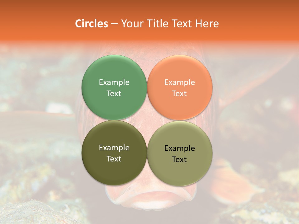 Nature Island Undersea PowerPoint Template