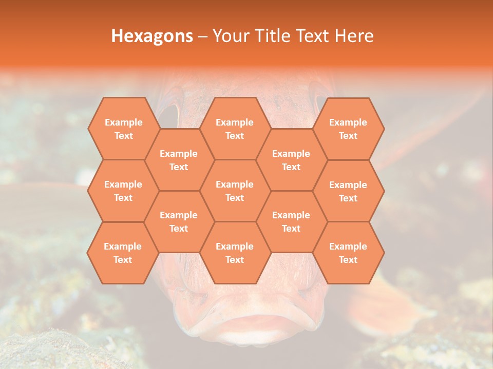 Nature Island Undersea PowerPoint Template