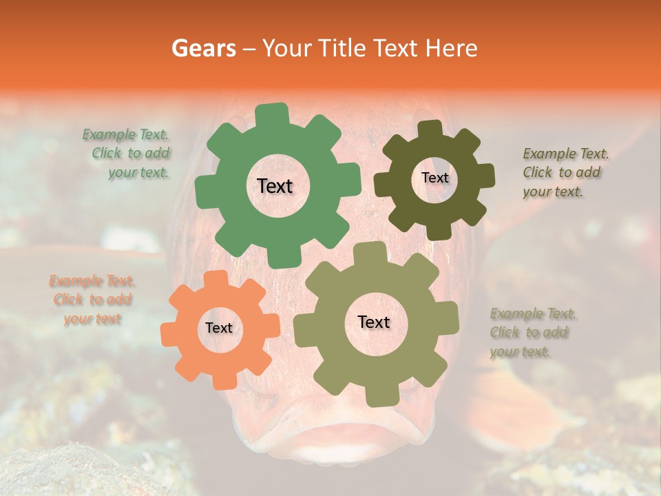 Nature Island Undersea PowerPoint Template