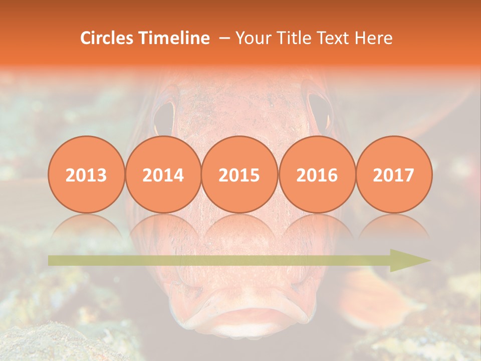 Nature Island Undersea PowerPoint Template