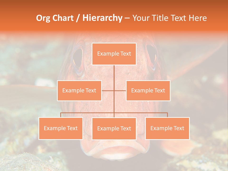 Nature Island Undersea PowerPoint Template