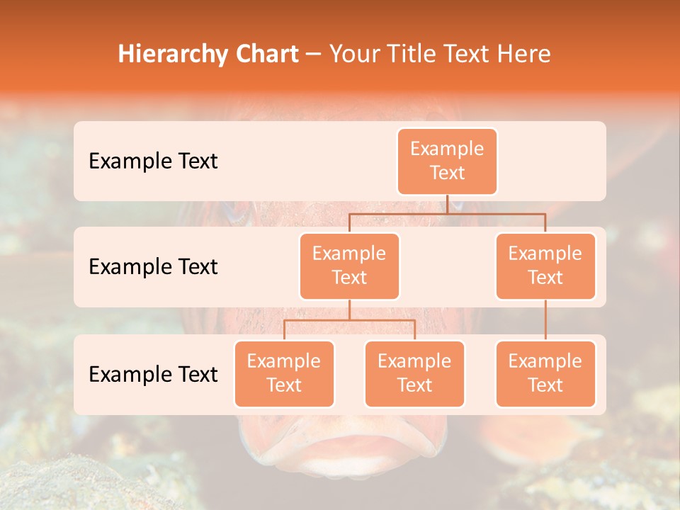 Nature Island Undersea PowerPoint Template