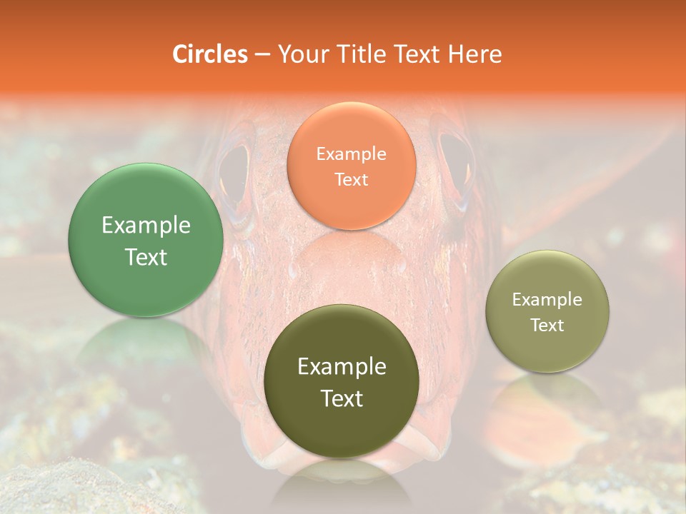 Nature Island Undersea PowerPoint Template