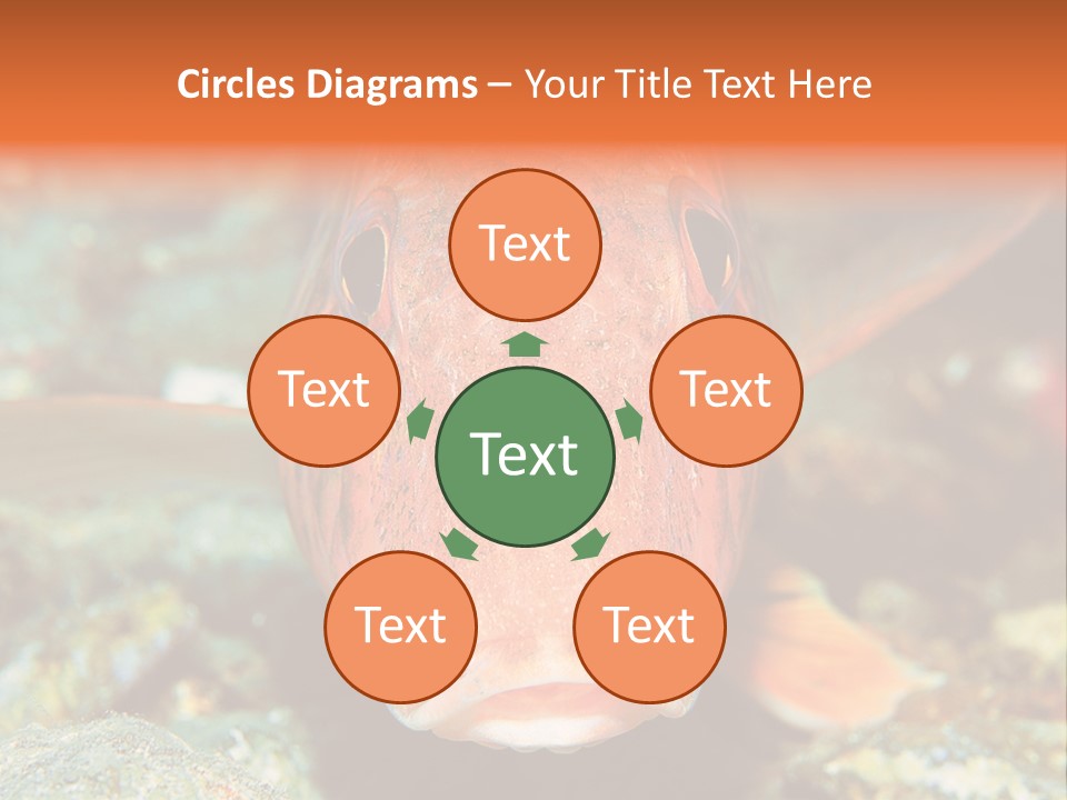 Nature Island Undersea PowerPoint Template