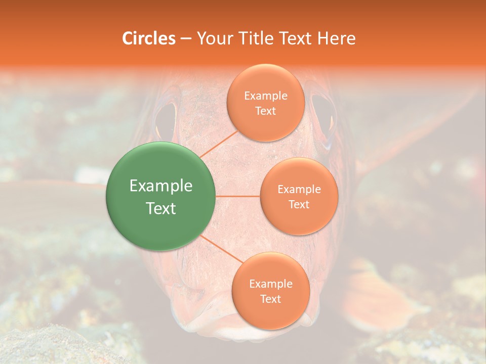 Nature Island Undersea PowerPoint Template