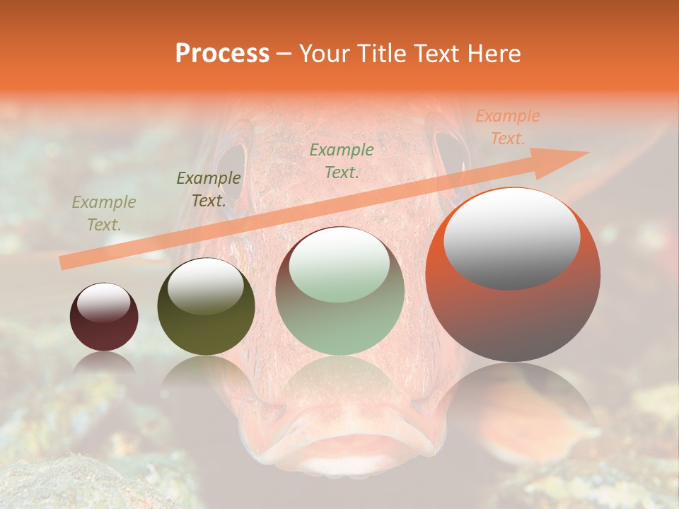 Nature Island Undersea PowerPoint Template