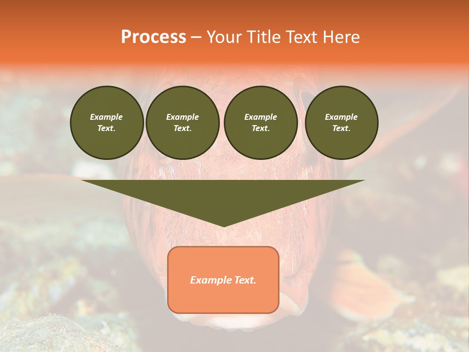 Nature Island Undersea PowerPoint Template