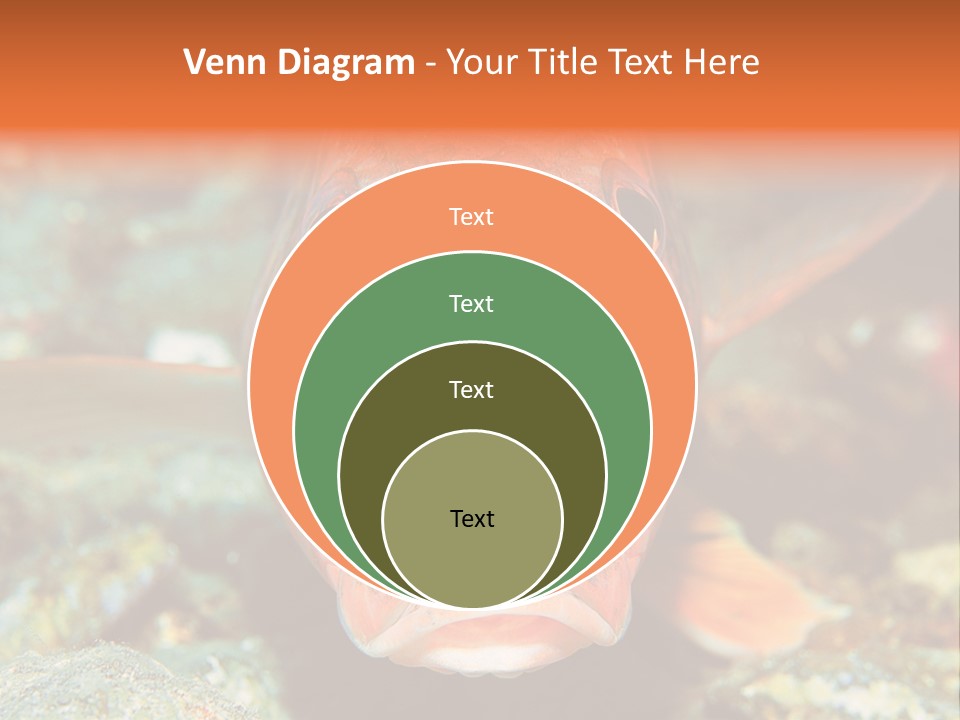 Nature Island Undersea PowerPoint Template