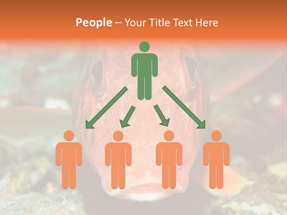 Nature Island Undersea PowerPoint Template