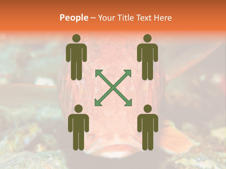 Nature Island Undersea PowerPoint Template