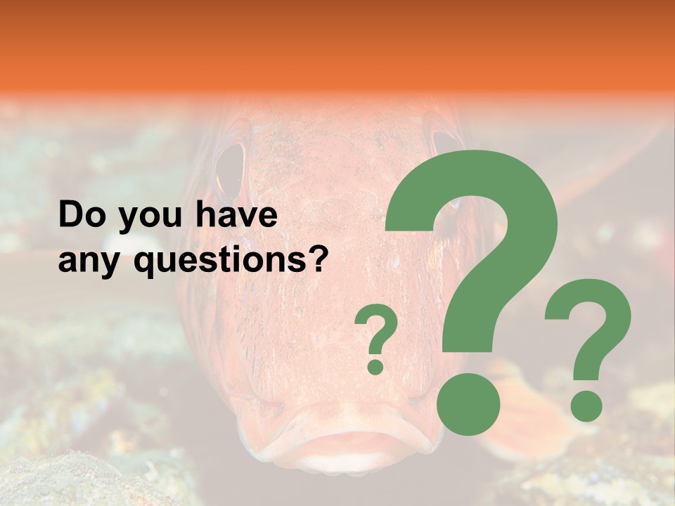 Nature Island Undersea PowerPoint Template