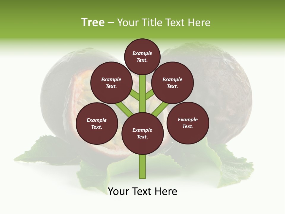 Healthy Purple Isolated PowerPoint Template