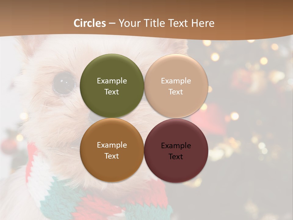 Optimization Coaching Action PowerPoint Template