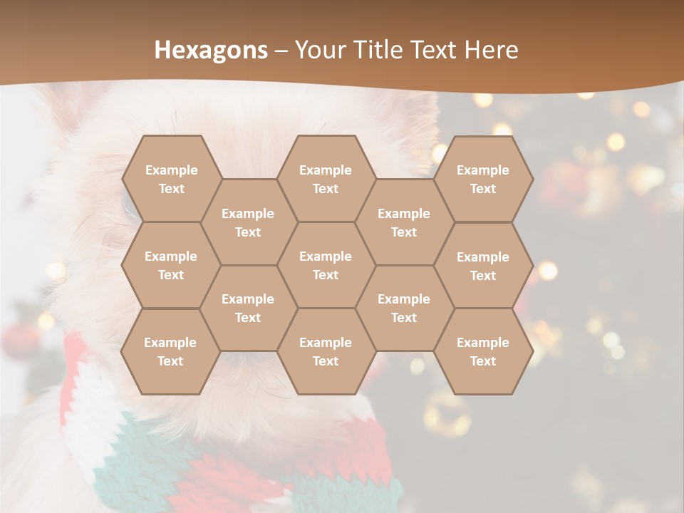 Optimization Coaching Action PowerPoint Template
