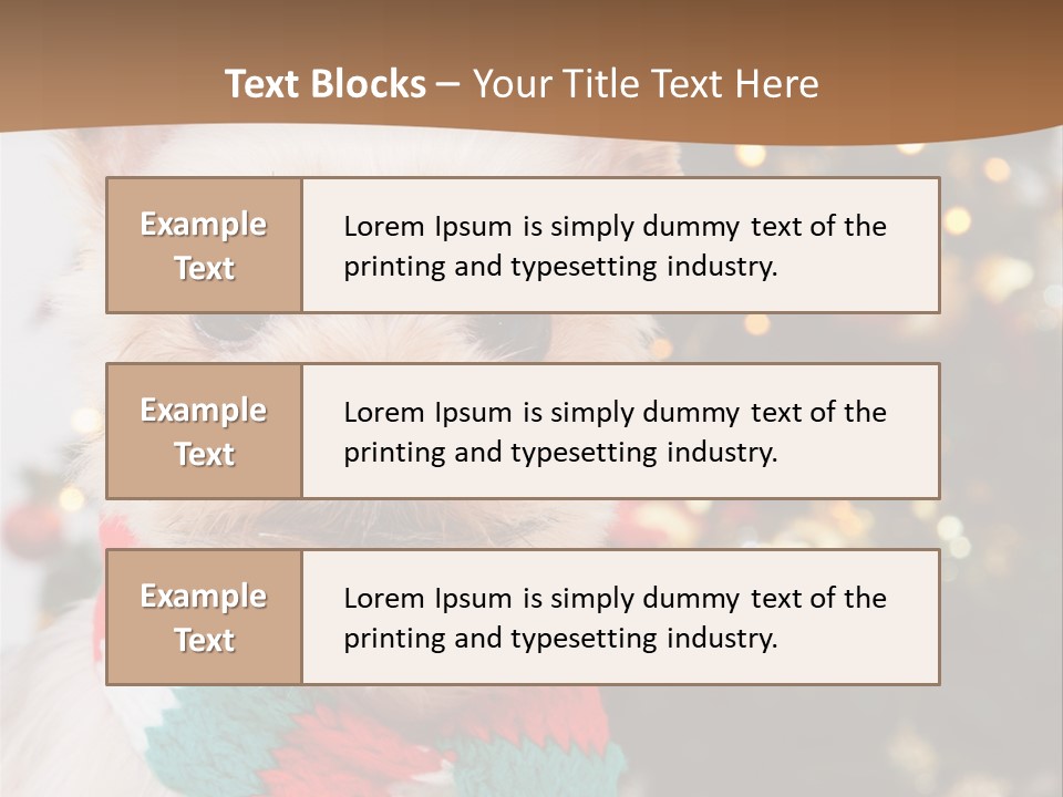 Optimization Coaching Action PowerPoint Template