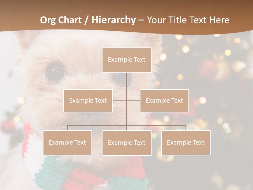 Optimization Coaching Action PowerPoint Template