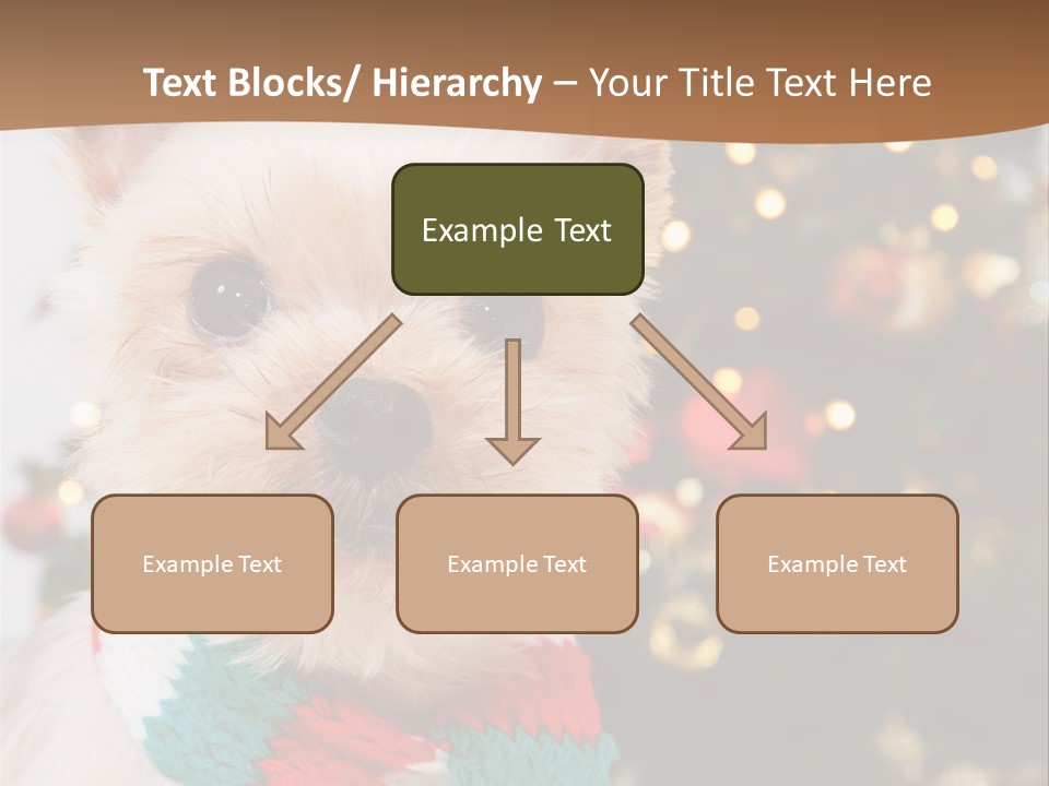 Optimization Coaching Action PowerPoint Template