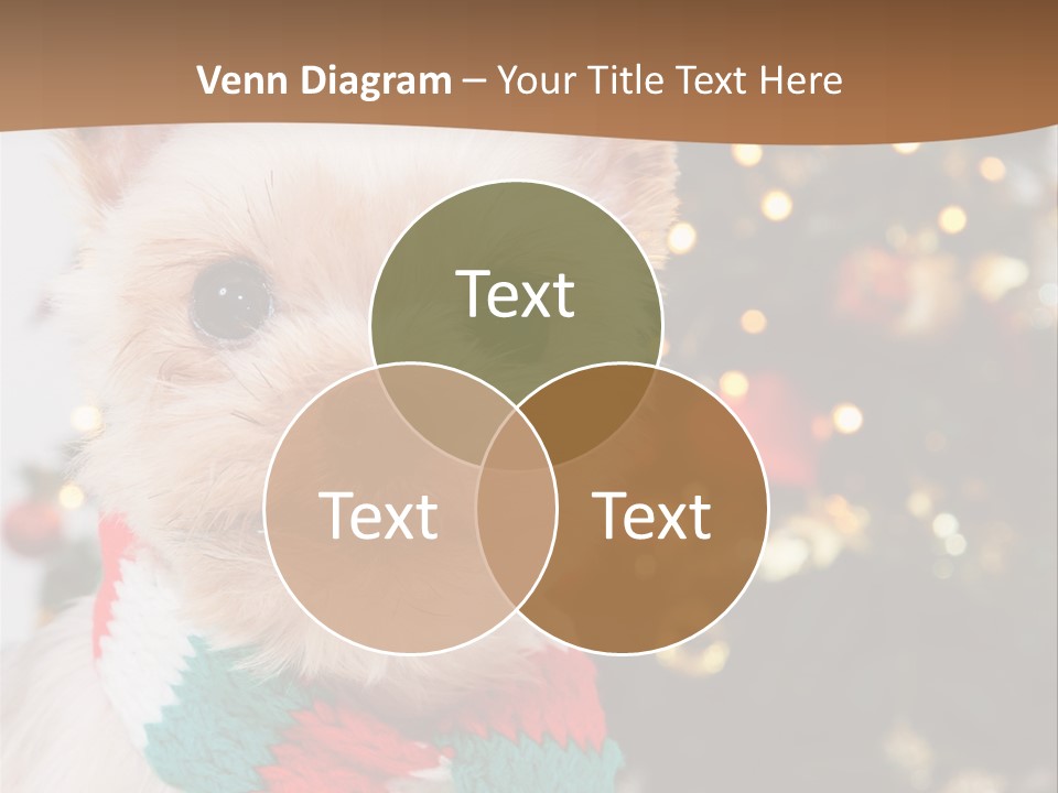 Optimization Coaching Action PowerPoint Template