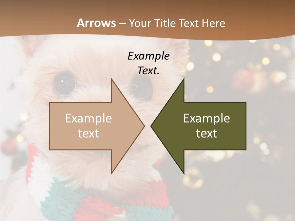 Optimization Coaching Action PowerPoint Template
