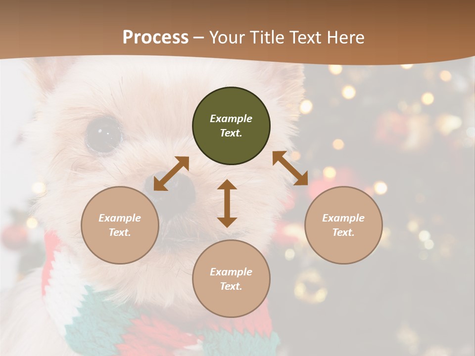 Optimization Coaching Action PowerPoint Template