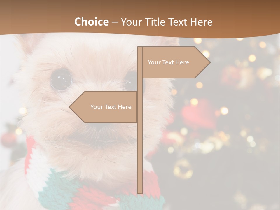 Optimization Coaching Action PowerPoint Template