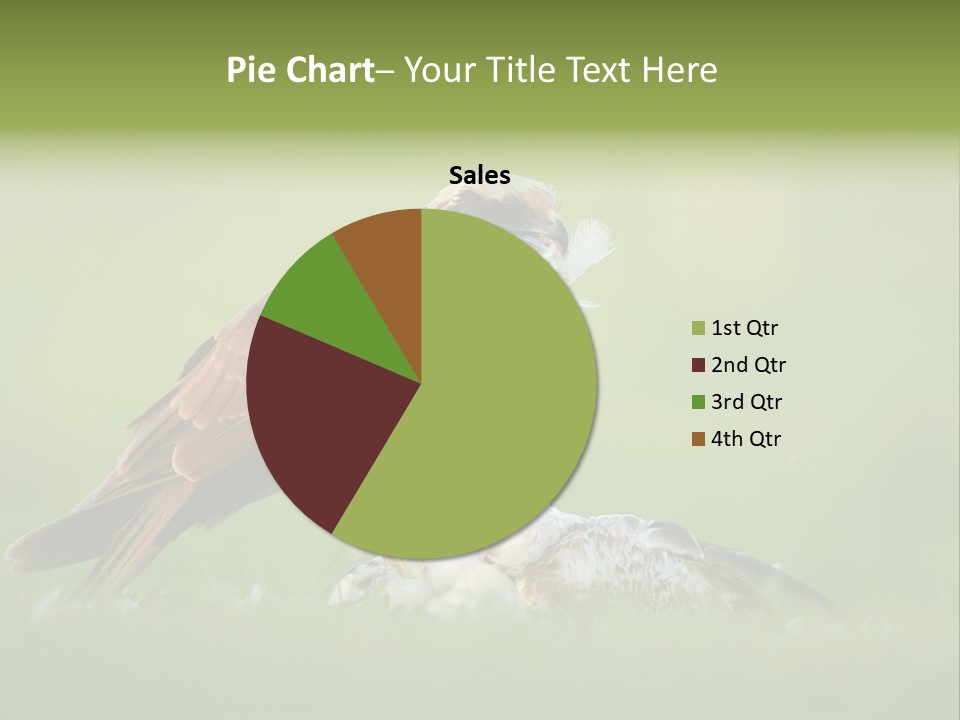 Accipitral Falconiformes Western Marsh Harrier PowerPoint Template