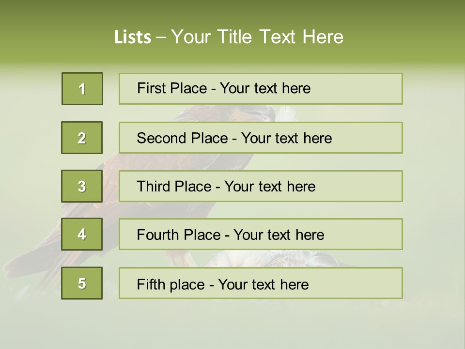 Accipitral Falconiformes Western Marsh Harrier PowerPoint Template
