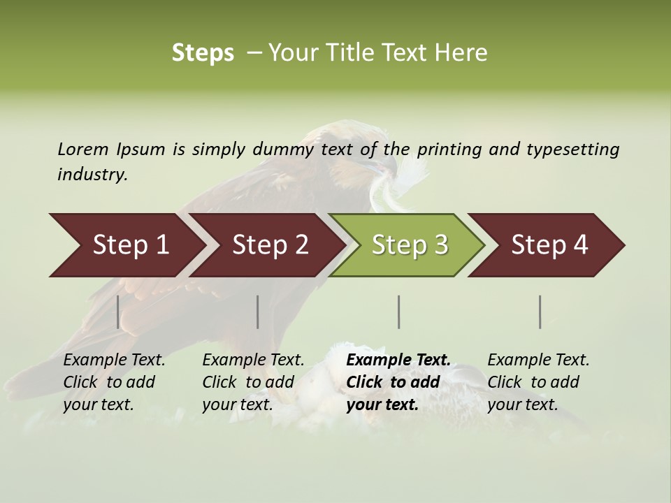 Accipitral Falconiformes Western Marsh Harrier PowerPoint Template