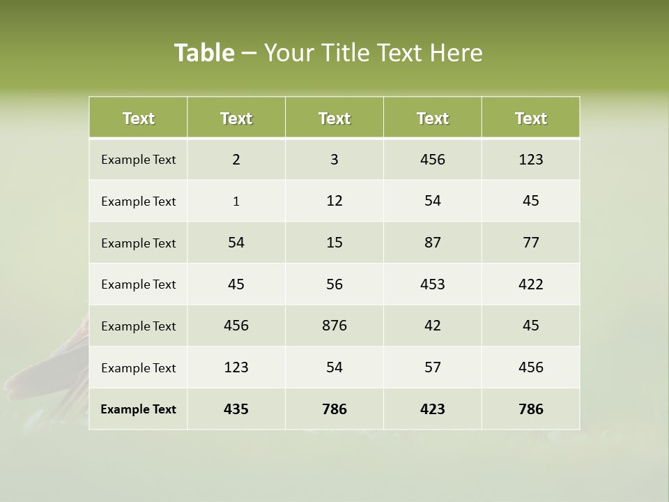 Accipitral Falconiformes Western Marsh Harrier PowerPoint Template