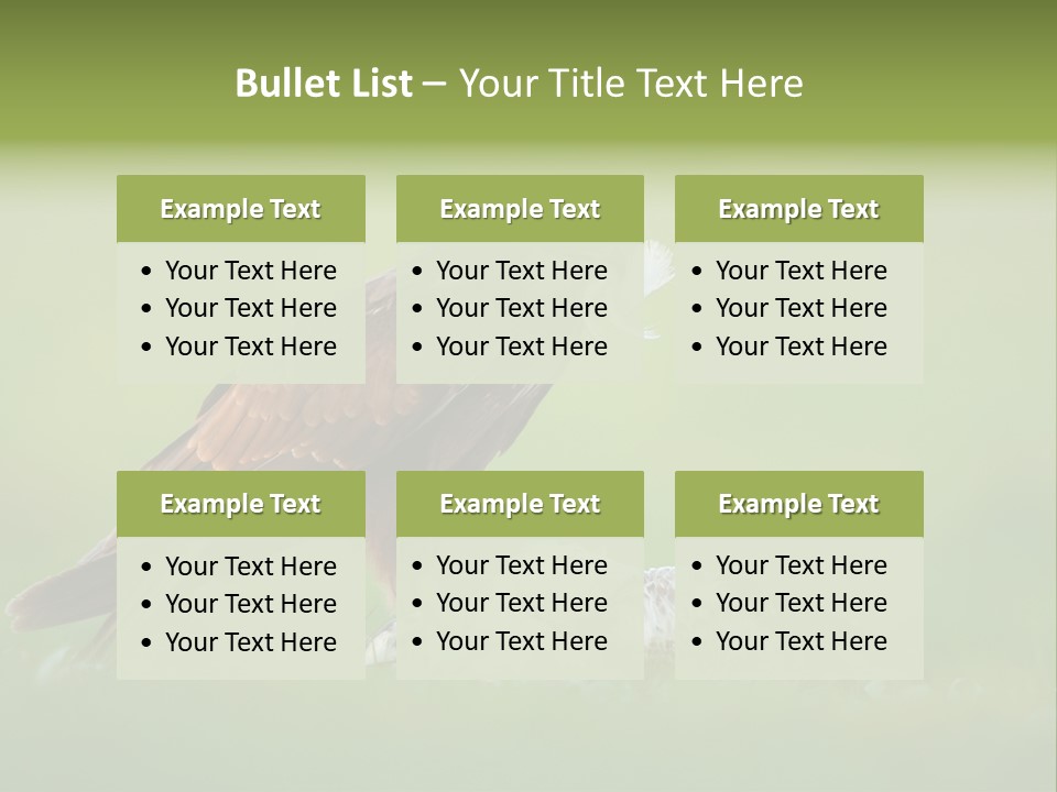 Accipitral Falconiformes Western Marsh Harrier PowerPoint Template