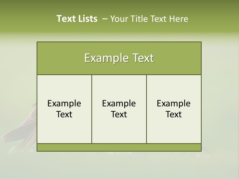 Accipitral Falconiformes Western Marsh Harrier PowerPoint Template