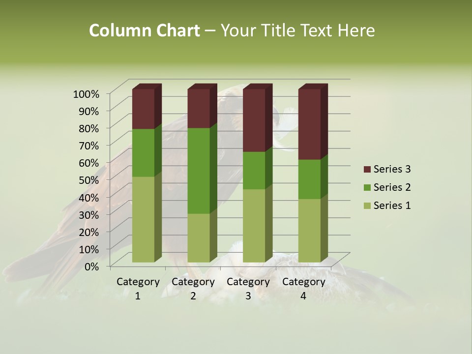 Accipitral Falconiformes Western Marsh Harrier PowerPoint Template