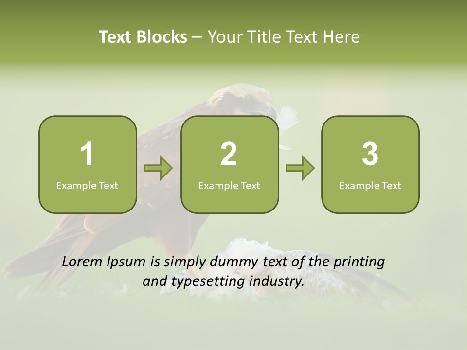 Accipitral Falconiformes Western Marsh Harrier PowerPoint Template