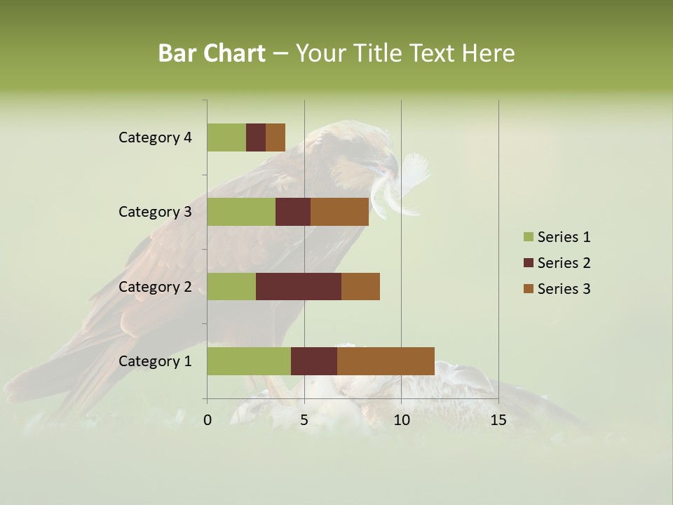 Accipitral Falconiformes Western Marsh Harrier PowerPoint Template