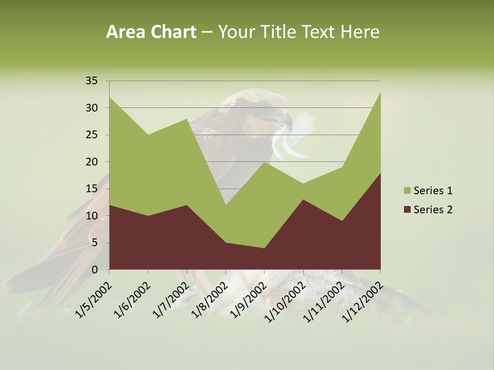 Accipitral Falconiformes Western Marsh Harrier PowerPoint Template