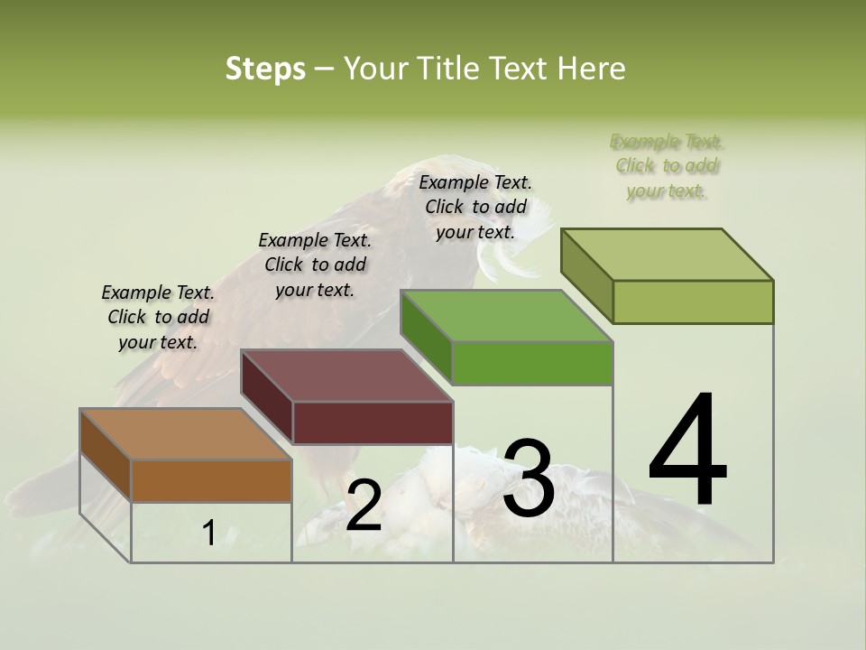 Accipitral Falconiformes Western Marsh Harrier PowerPoint Template
