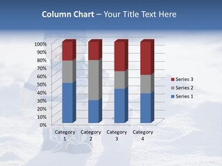 January Crystal Covering PowerPoint Template