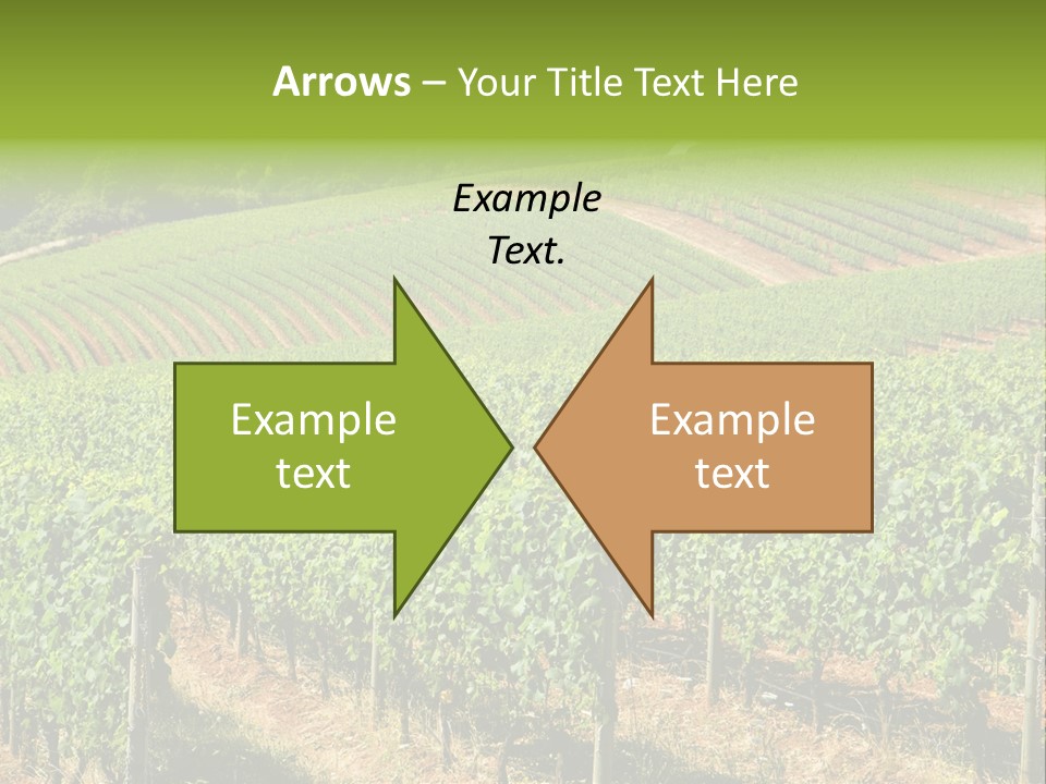 Bronze Metallic Card PowerPoint Template