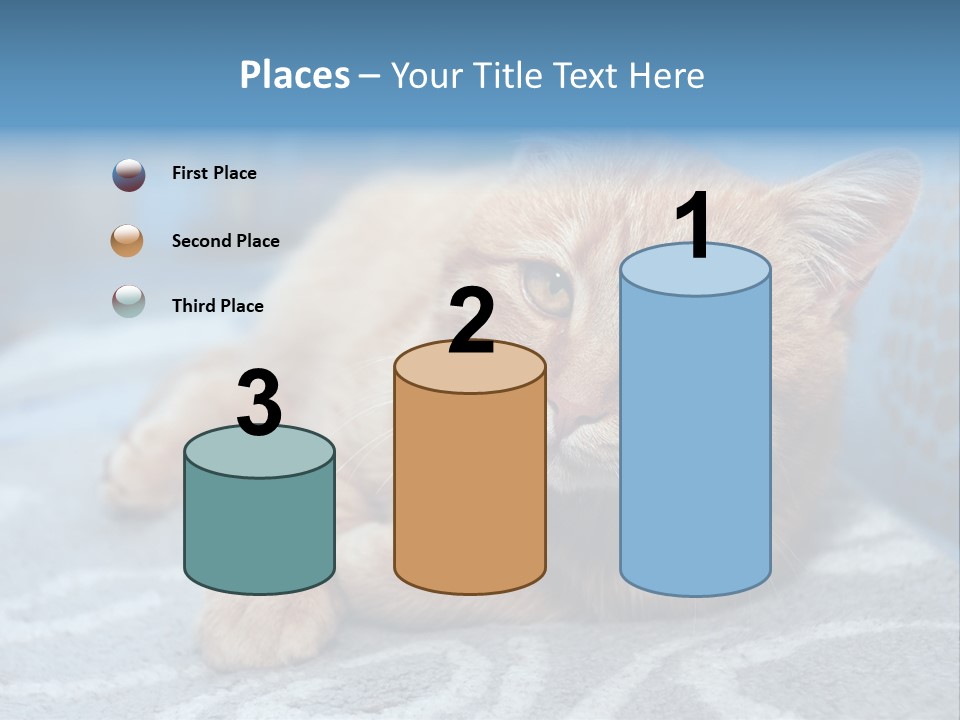 Fur Pet Blanket PowerPoint Template