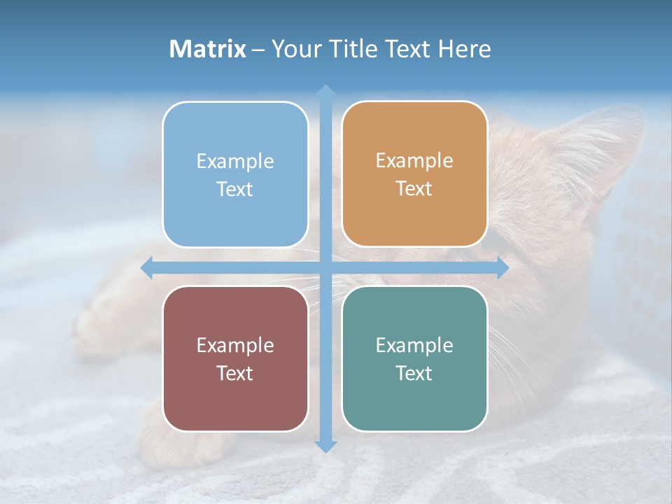 Fur Pet Blanket PowerPoint Template